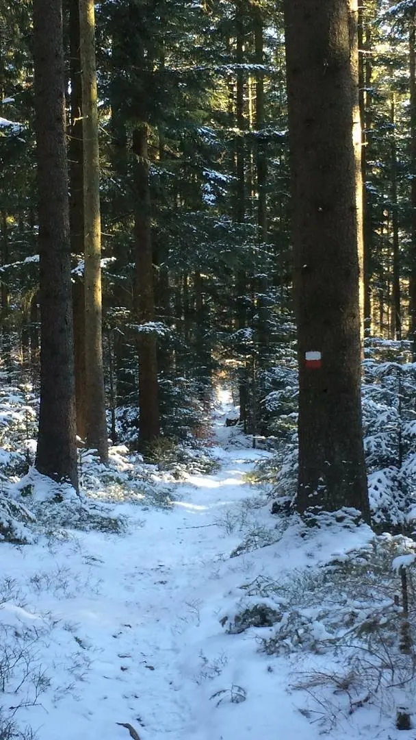 Landhotel Großeiberhof Waldmünchen